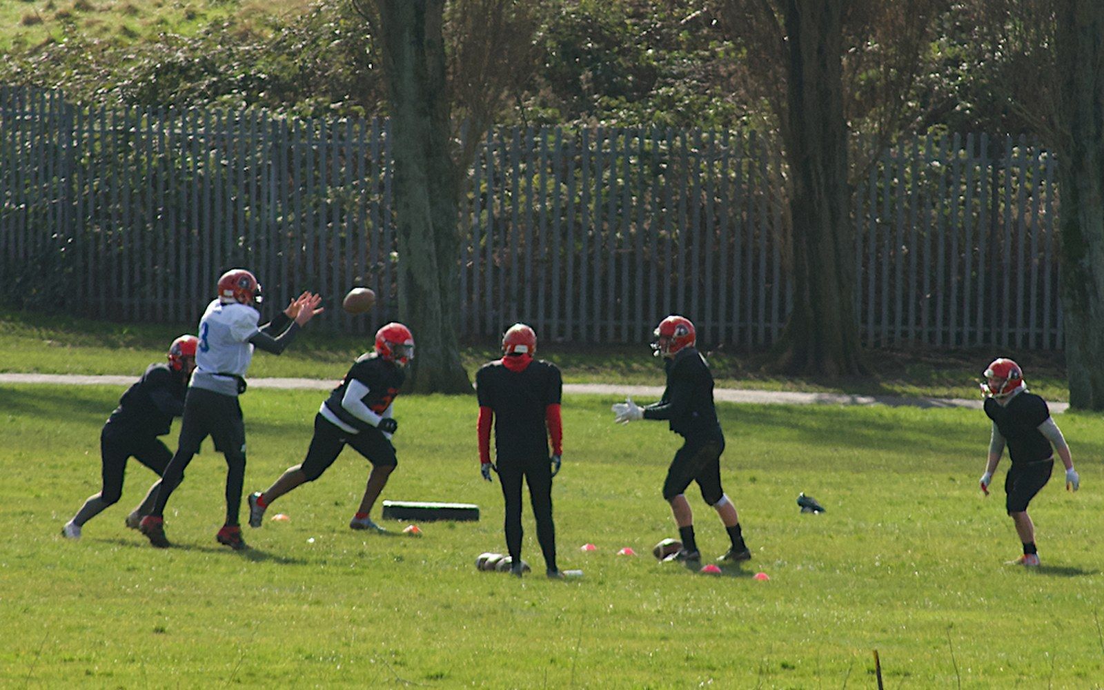 Football players in helmets run passing drills on a grass field near a fence